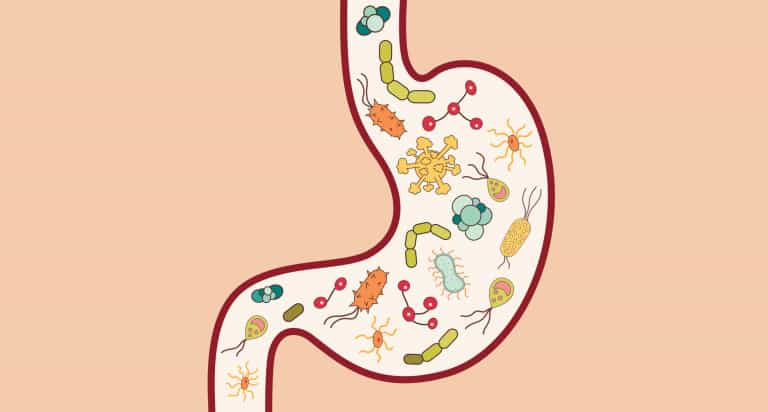 Types of Probiotics: Which Probiotic Strains Are Best for You?