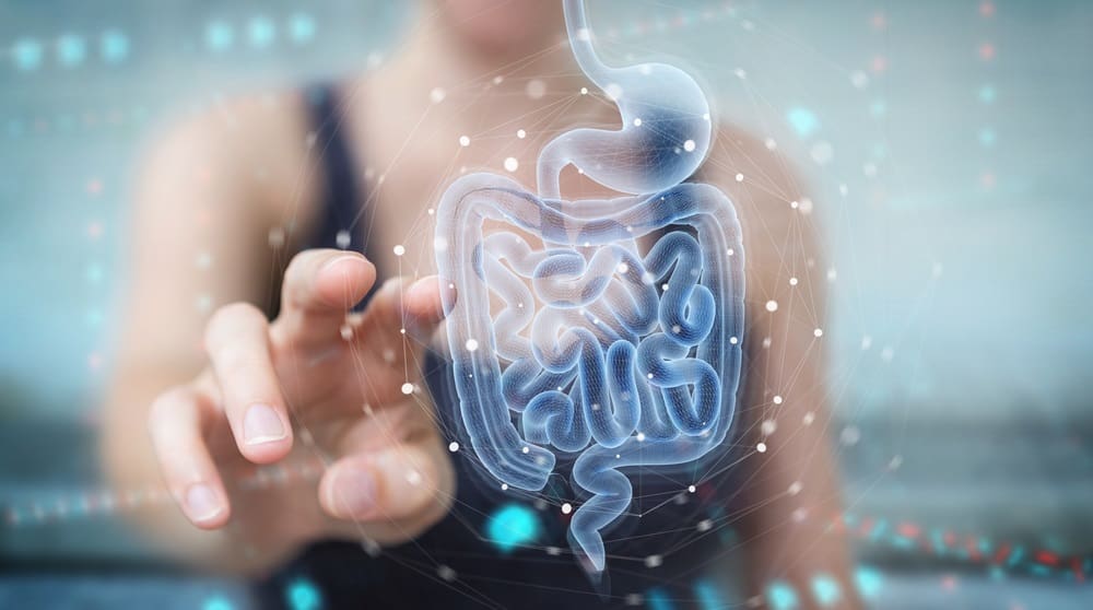 human intestine holographic scan projection 3D rendering