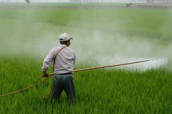 man spraying pesticides in a field